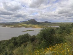 Flora del Cerro Masatrigo